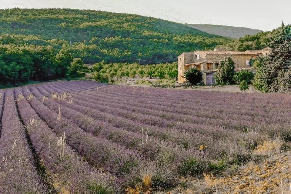 Hameau de l'Esperelle — photo 5