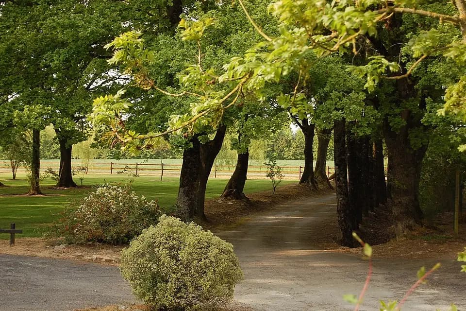 Salle Le Petit Bignon — photo 8