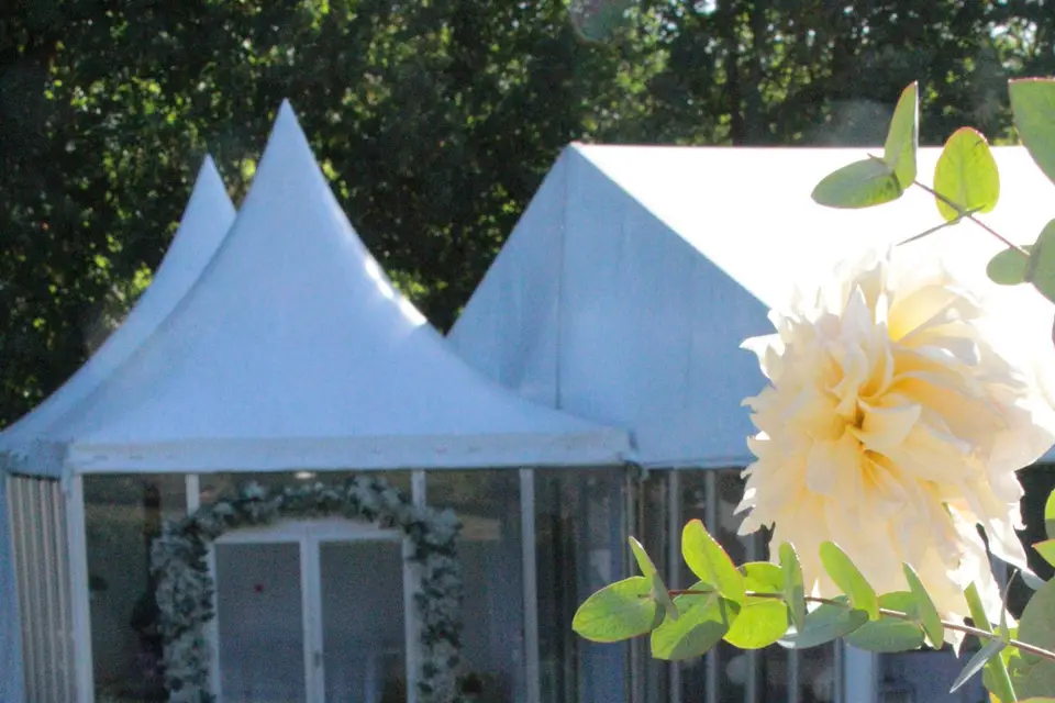 Pour le Meilleur — photo 4