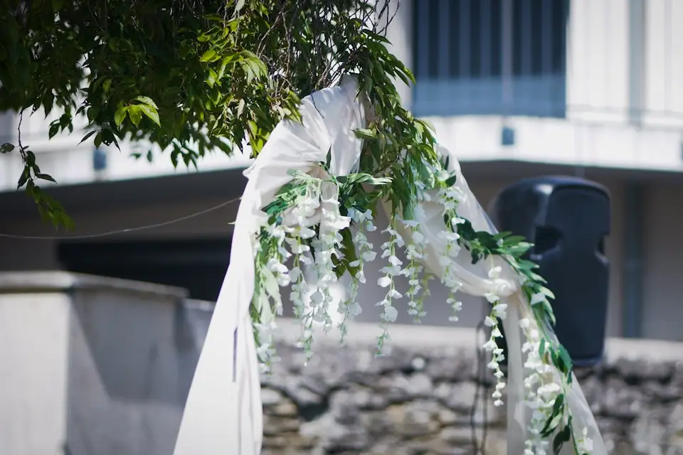 Will Create — photo 3