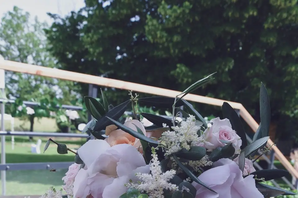 Virginie Perroy Photographe — photo 5