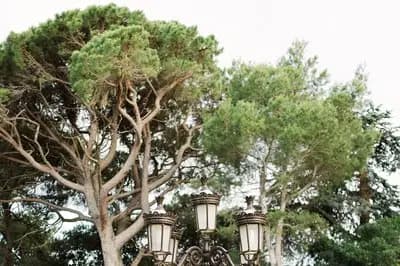 Domaine de Bellavista — photo 6