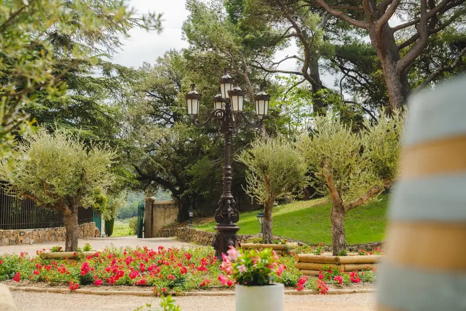 Domaine de Bellavista — photo 7