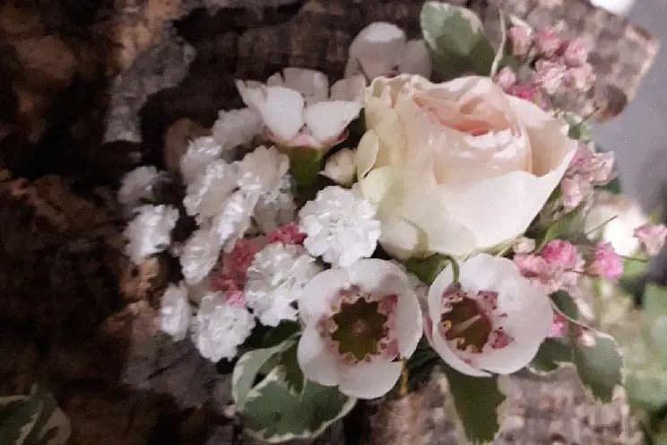 Maison Douce — photo 7