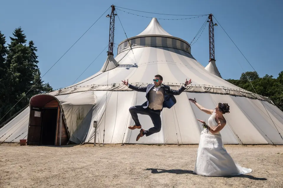 Cactus Videos — photo 1