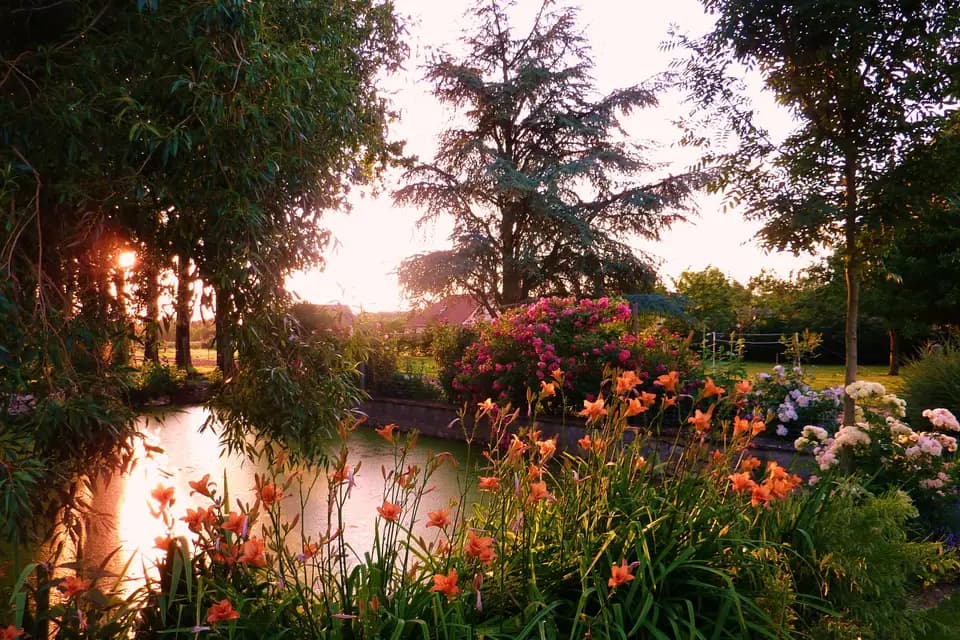 Allée de Marolles — photo 9