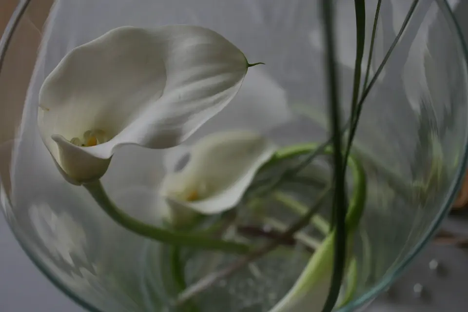 Nuances & You By LC — photo 1