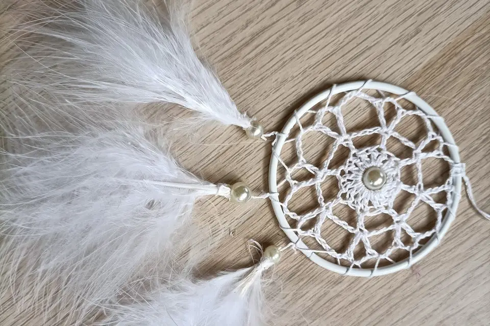 L'Envol Sacré des Plumes — photo 5