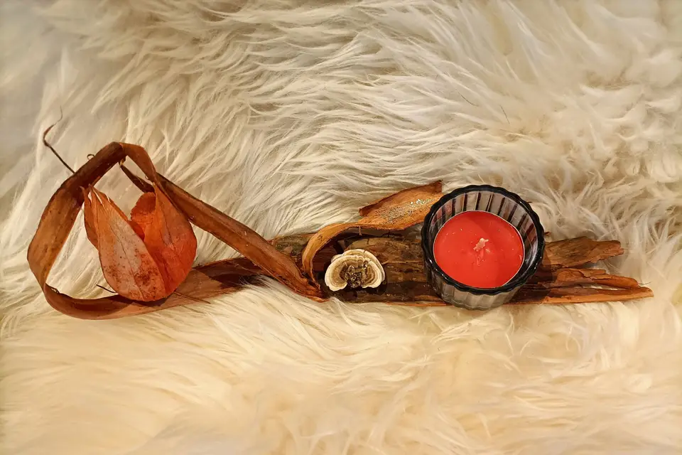 L'Envol Sacré des Plumes — photo 7