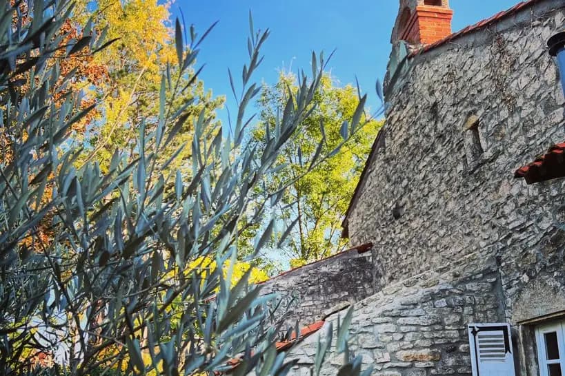 Mas je te Promets — photo 2