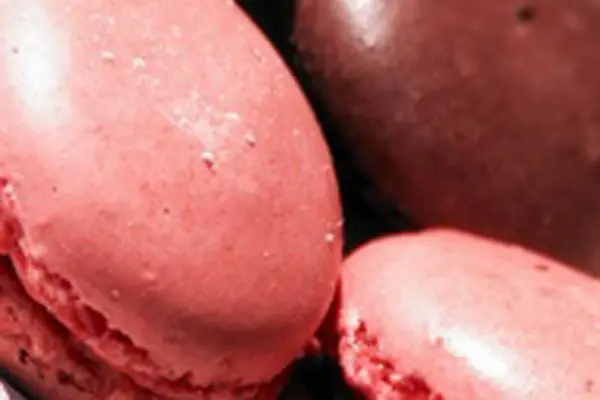 Temps Dense — photo 3