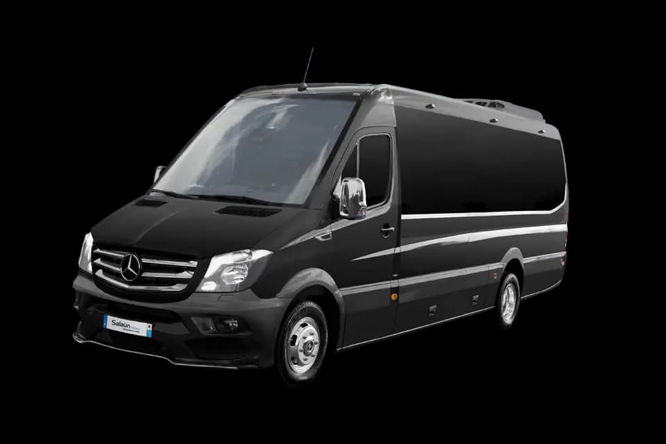 Salaün Limousines — photo 6