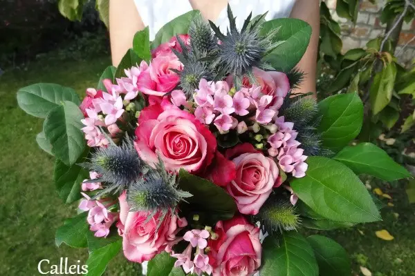 Calleis fleurs — photo 1