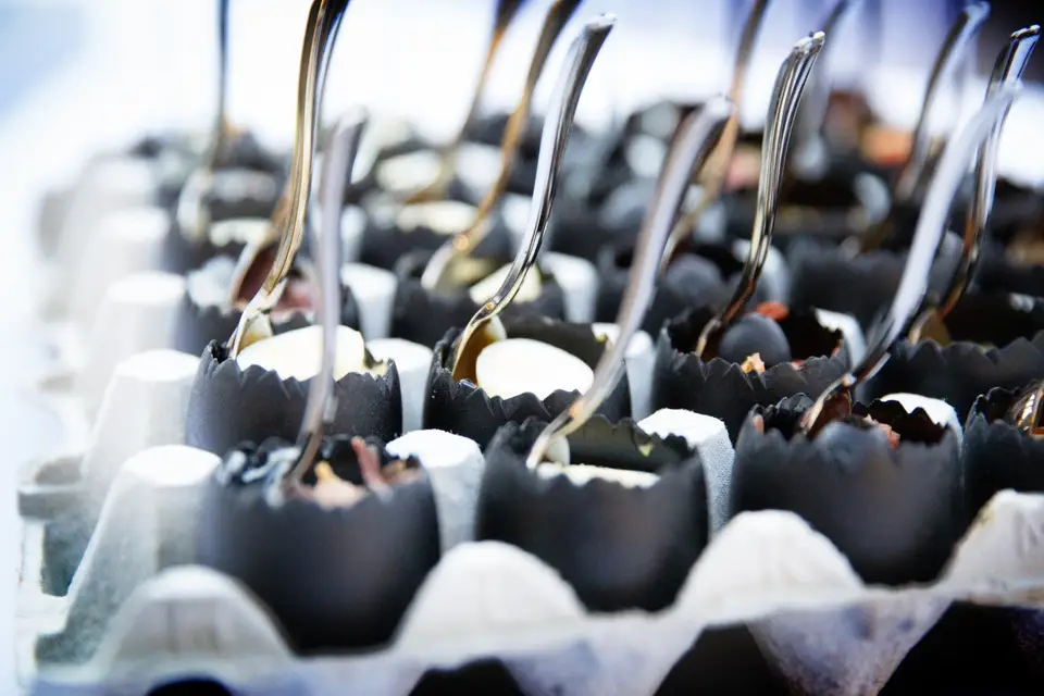 Cassis-Framboise — photo 3