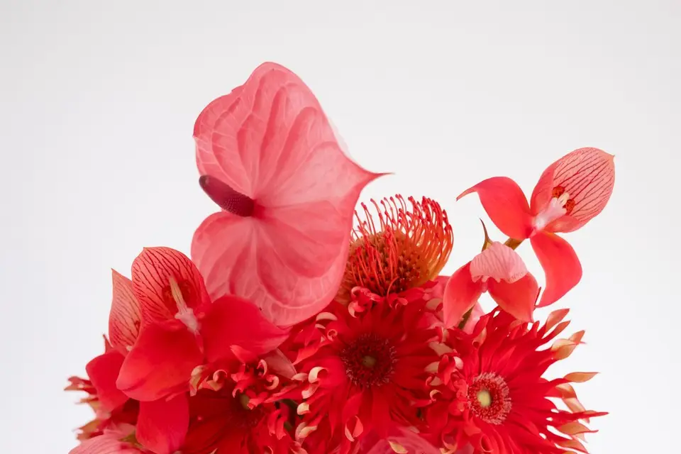 Vague Floral Studio — photo 5