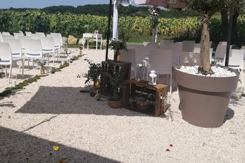 Domaine D'En Galinier — photo 7