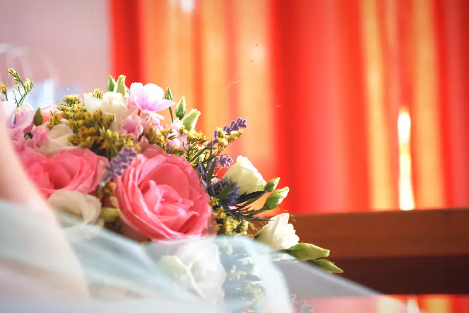 Camani Films — photo 1