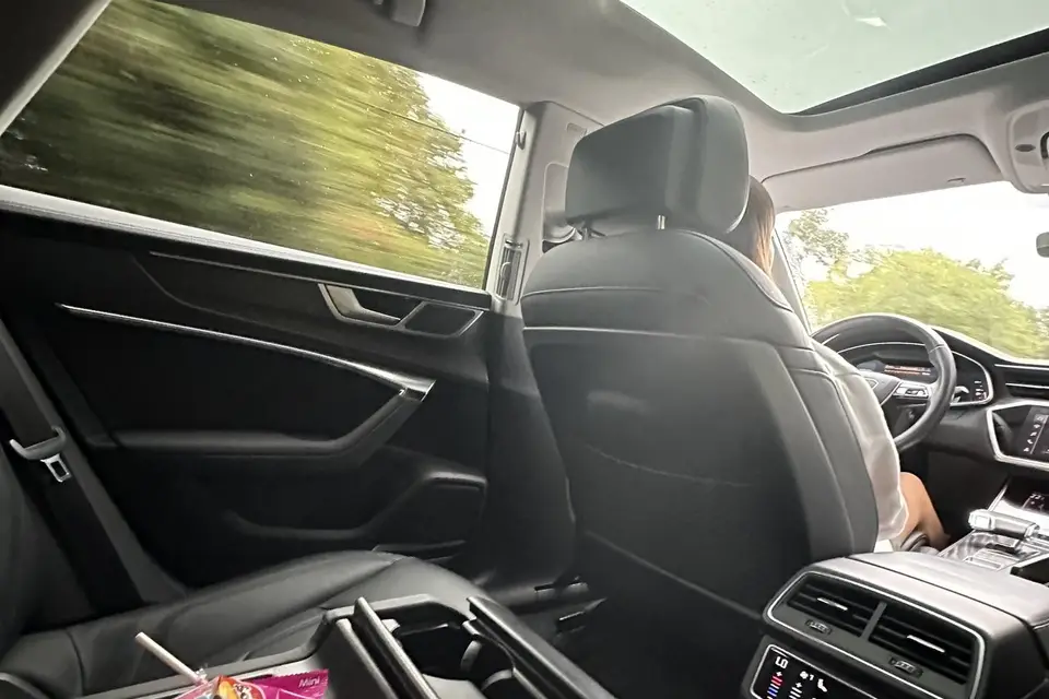 Seventh Swan — photo 1