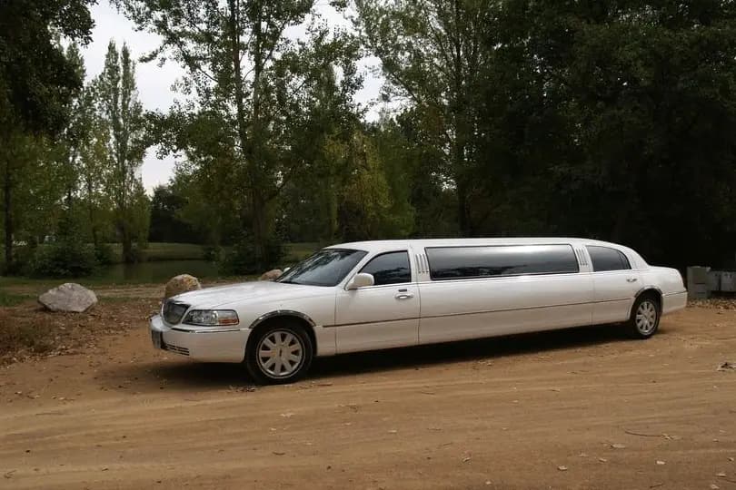 Limousine 81 — photo 5