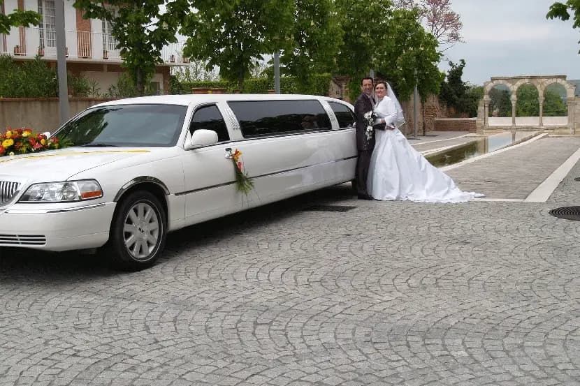 Limousine 81 — photo 6