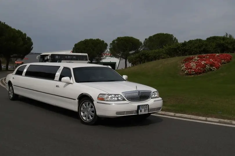 Limousine 81 — photo 4