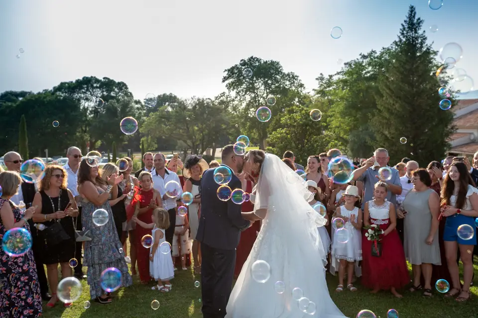 Must Animation — photo 6