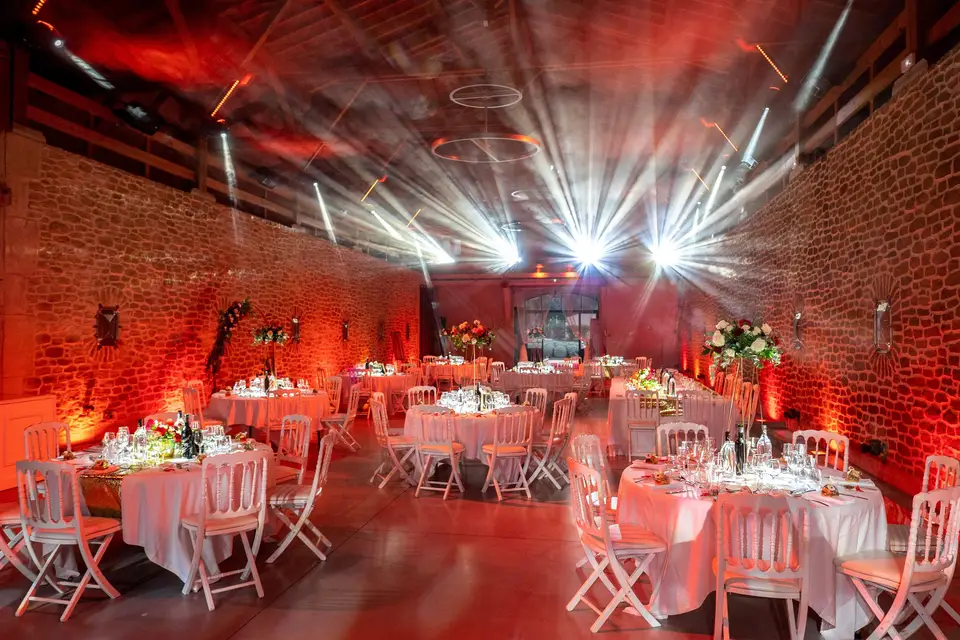 Must Animation — photo 9