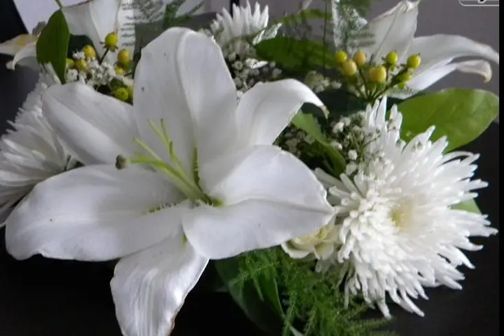 L'étoile de vos réceptions — photo 7