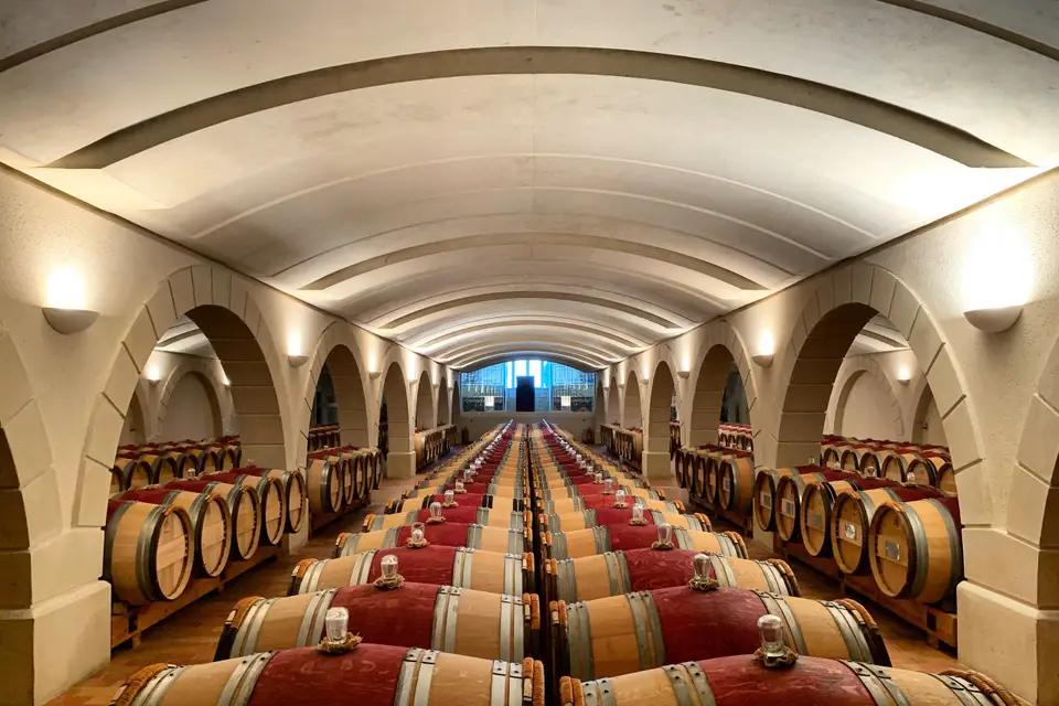 Château Haut Chaigneau — photo 3