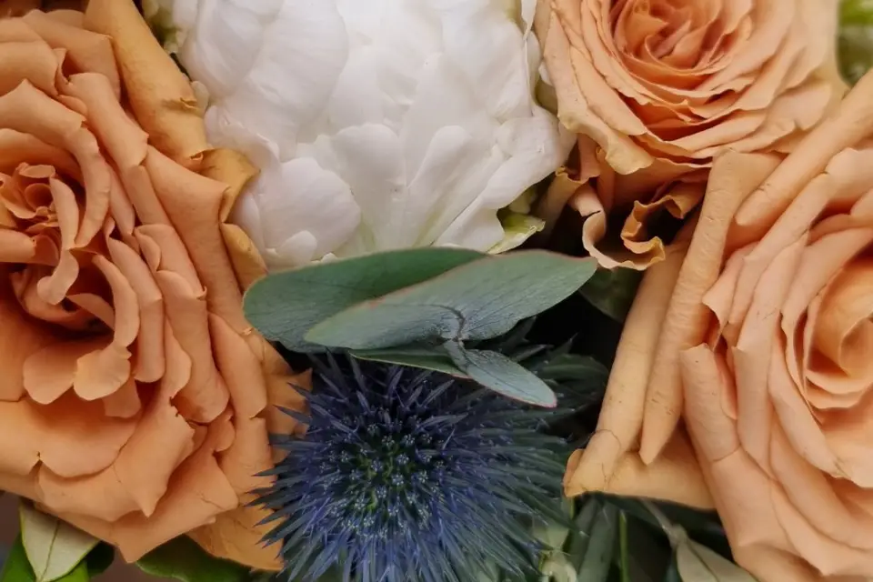 L'atelier de Julie — photo 5