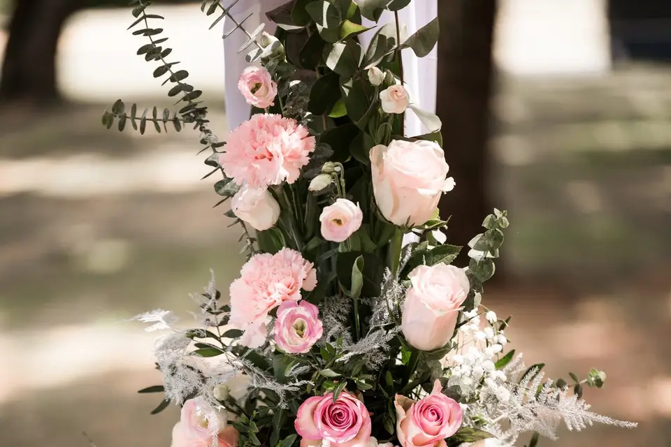 Viv'Event — photo 4