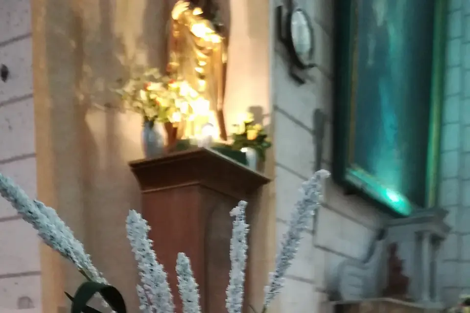 Decovero — photo 6