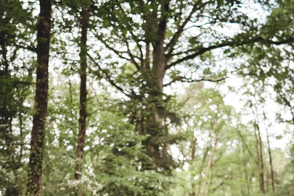 Domaine des Longrais — photo 7