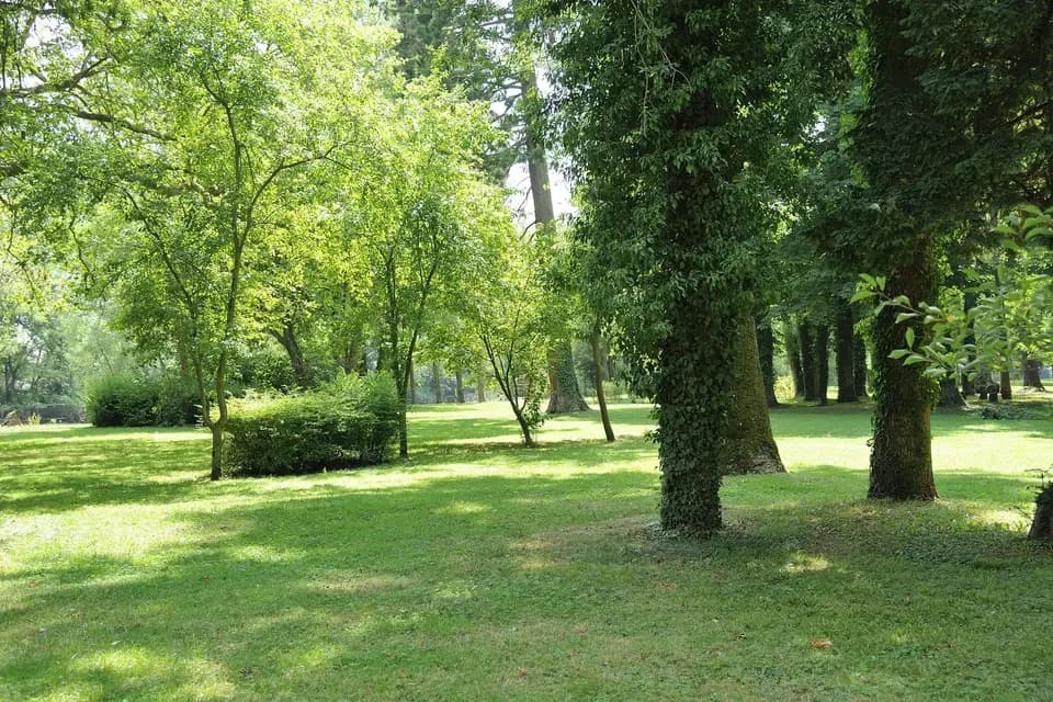 Les Salons du Parc du Cygne de la Croix — photo 3