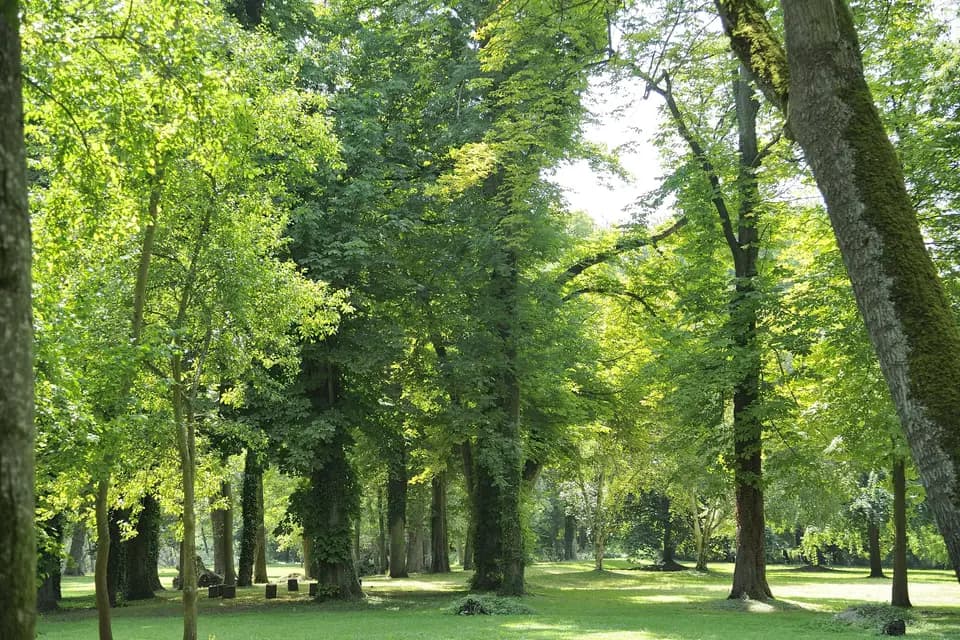 Les Salons du Parc du Cygne de la Croix — photo 4