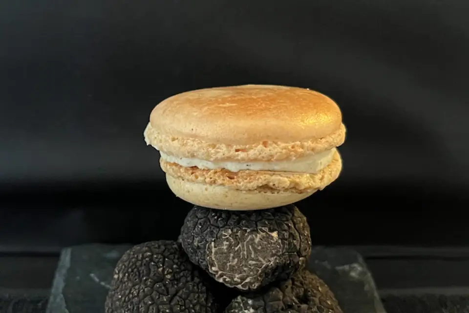 Garniac Truffe — photo 8