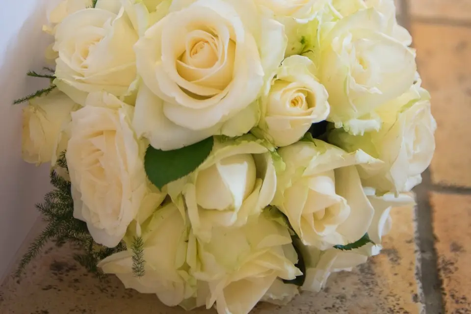 A Chacun ses Émotions — photo 1