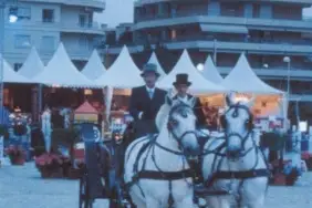 Mas Marguerite - La Belle Calèche — photo 2