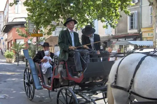 Mas Marguerite - La Belle Calèche — photo 8