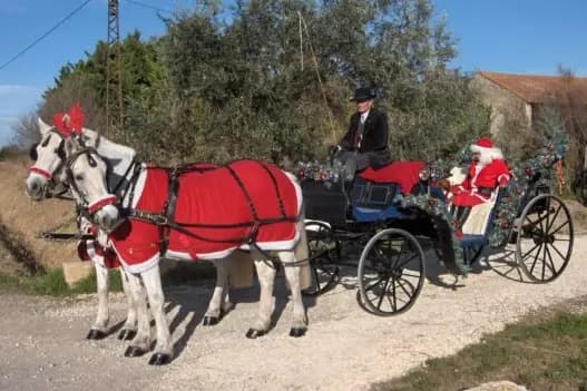 Mas Marguerite - La Belle Calèche — photo 5