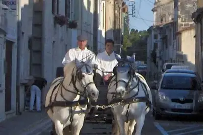 Mas Marguerite - La Belle Calèche — photo 3