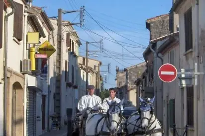 Mas Marguerite - La Belle Calèche — photo 4