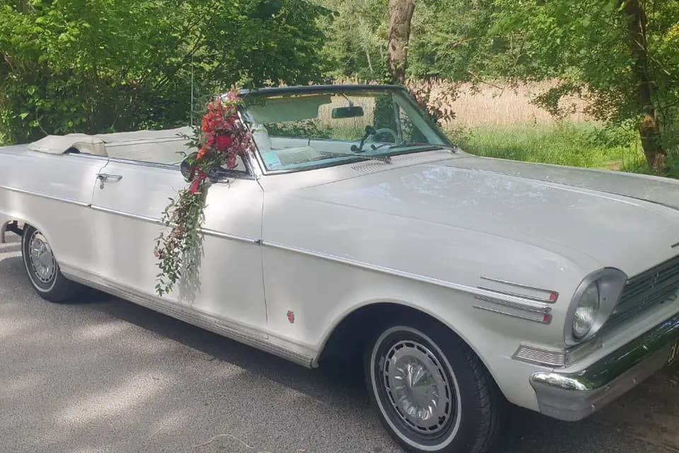 Tiara Limousine — photo 2