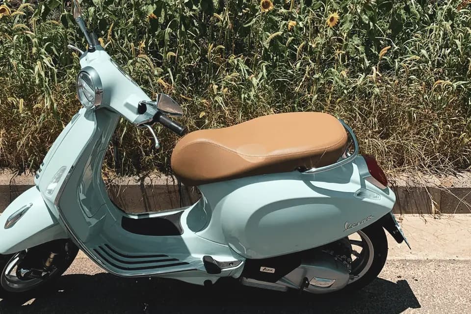 Wedding Scoot — photo 5