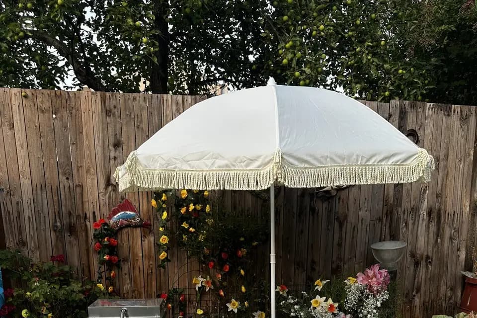 Pose Deje — photo 1