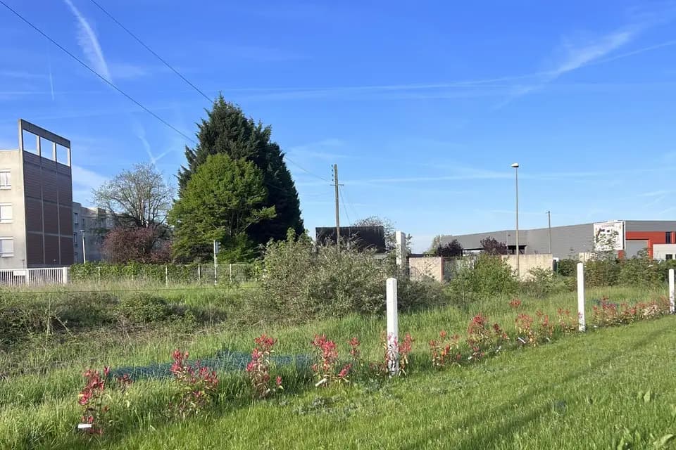 Hils Housing — photo 8