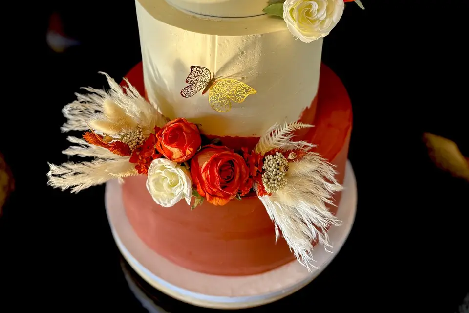 Tiramisu et Lasagnes — photo 1