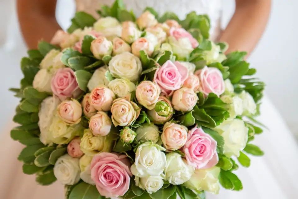 L'Atelier Photo — photo 6