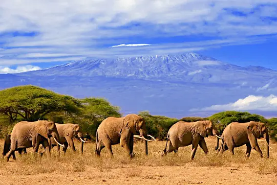 Ailleurs Selectour Afat — photo 2