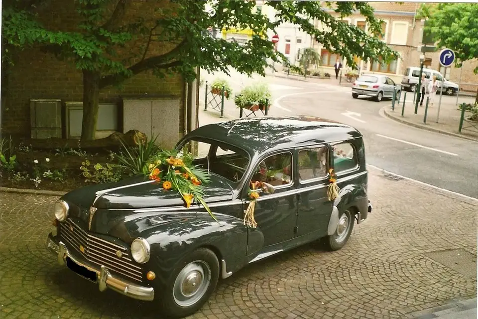 Ja'events — photo 3